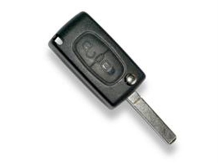 Peugeot flick key with remote