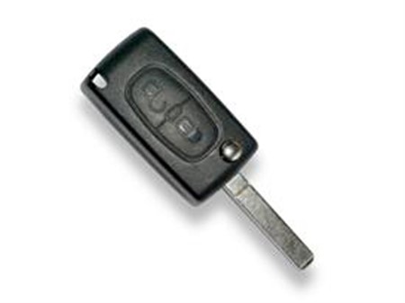 Transponder key with remote