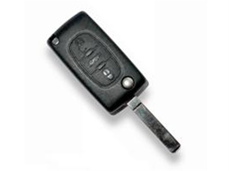 Peugeot flick key with kemote