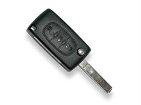Citroen flip key with remote