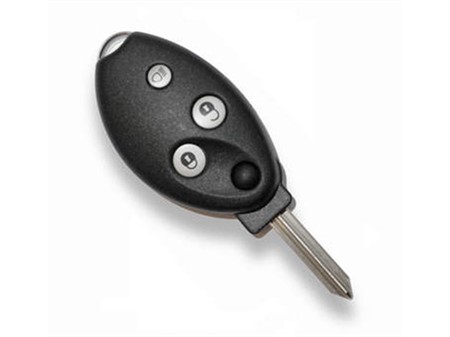 Citroen flick key with remote