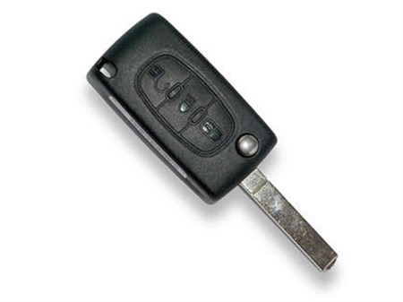 Citroen flick key with remote