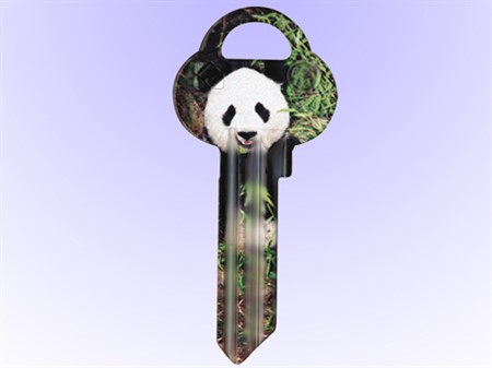 560 NN Panda